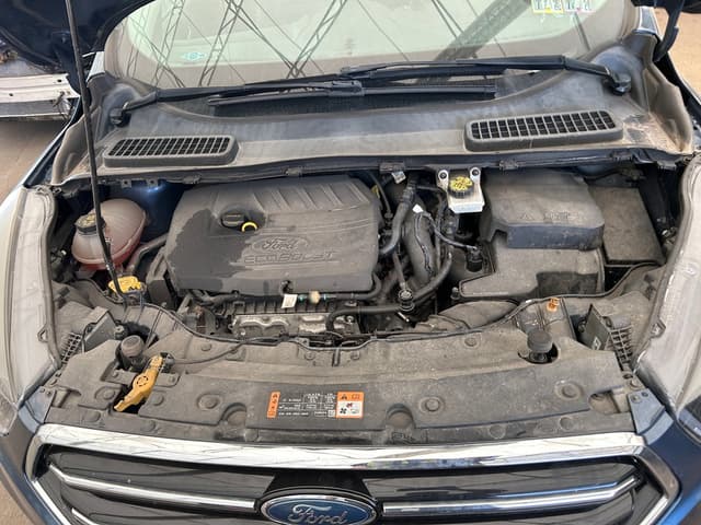 FORD Escape 2018 - 19